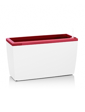Lechuza Cararo Frame Scarlet Red