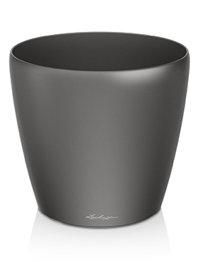 Lechuza Classico Antraciet