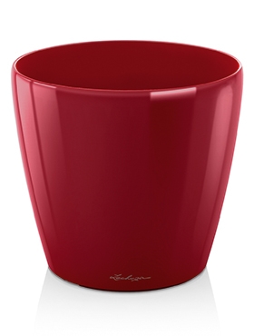 Lechuza Classico Scarlet red