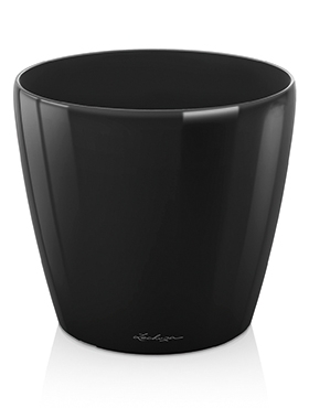Lechuza Classico Zwart glans