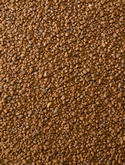 Hydrokorrels 2 - 5 mm (40 l. z 45-EN 12580)