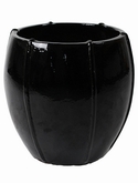 Moda Emperor Black Shiny
