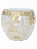 Oceana Pearl Copper Couple White Yellow