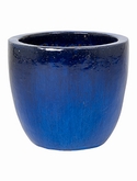 Plain Couple Extra Blue