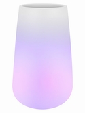Pure® Cone Smart LED Light Transparent